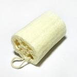 {{Information| |Description = '''Loofah''' (Hechima). |Source = Qurren's file |Date = 2006-05-19 |Author = Qurren |Permission = GFDL }} Category:Everyday objects of Japan Category:Washing
